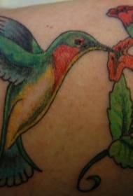 Colibrì color braccio con motivo tatuaggio floreale