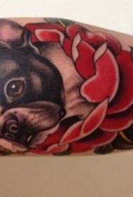 I-French bulldog nephethini le-tattoo ebomvu