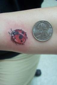 Pola tato ladybug kecil yang lucu