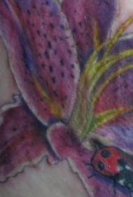 Skouerkleurige leliepatroon met lieveheersbeestje tatoeëermerkpatroon