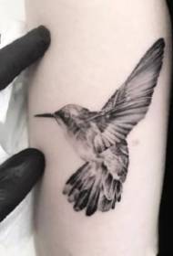 Mtundu wa tattoo yopangidwa ndi ma hummingbird umagwira