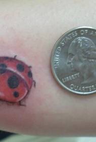 Pola tato ladybug kecil berwarna