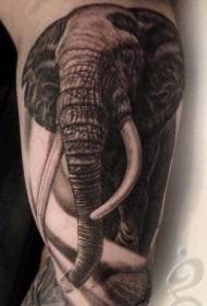 腕の非常に現実的な黒と白の象のタトゥーパターン