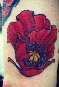 blodige valmuer tatoveringsmønster på armen