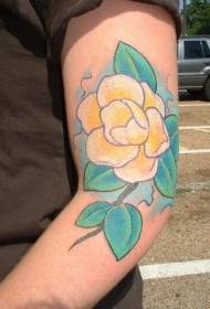 Patrón de tatuaje de brazo de flor de magnolia linda amarela