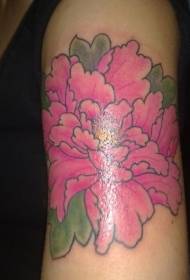Amuza purpura japana peonio floro brako tatuaje ŝablono