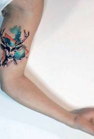 käsivarsi yksinkertainen väri splash muste geometria peura tatuointi malli