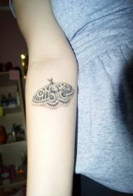 kar hagyományos szürke kis moly tetoválás minta