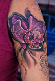 Cánh tay hình xăm phalaenopsis màu tím tươi và thực tế