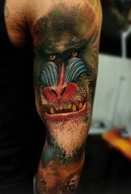 Мъжка рамо реалистичен таро цветен модел татуировка