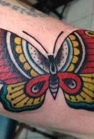 아름다운 전통 나비 팔 문신 패턴
