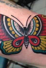 bellissimo modello di tatuaggio tradizionale a braccio a farfalla
