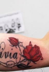 romantico nome inglese e motivo tatuaggio braccio rosa rossa