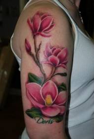 Divan šareni uzorak cvijeta magnolije, velika ruka