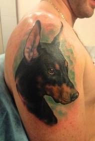 arm serious colorful doberman and green background tattoo pattern  13422 - Arm realistic color Doberman head tattoo pattern