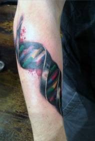 braccio simbolo colorato modello simbolo tatuaggio DNA