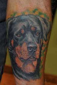 qo'llarning yashil fonida va haqiqiy Rottweiler zarb naqshida