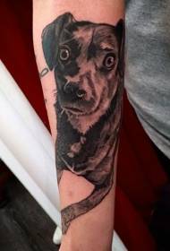 смешные большие глаза щенка рука татуировки