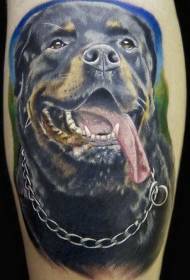 earmige kleurige Rottweiler en tatoetatuerpatroan