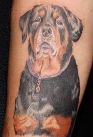 lengan pola tato Rottweiler berwarna-warni
