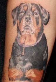 ruoko rune mavara Rottweiler tattoo pateni