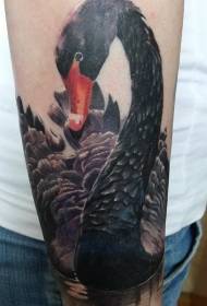vacker svart svan på armen realistiska realistiska tatueringsmönster