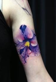 手臂非常逼真的彩色蝴蝶兰纹身图案