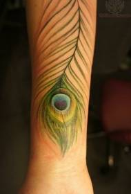 Kar vékony zöld páva toll tetoválás minta