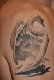 手臂上美丽的白天鹅纹身图案