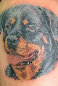 bracciu di culori di Rottweiler mudellu di tatuaggi realisticu