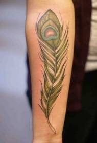 simple deseño de brazo de colorido patrón de tatuaxe de plumas de pavo real