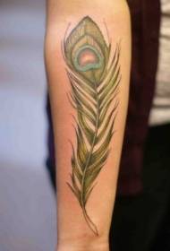 bukton nga yano nga disenyo sa kolor nga kolor sa pattern sa tattoo sa peacock feather