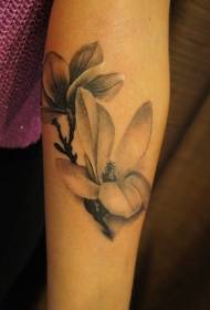 delikatny czarno-biały wzór tatuażu magnolii