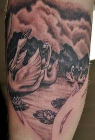 černá labuť a bílá labuť lotus tetování vzor na jezeře paže