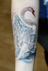 braço realista cisne branco bonito tatuagem padrão