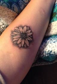 modèle de tatouage de bras marguerite fleur simple petite