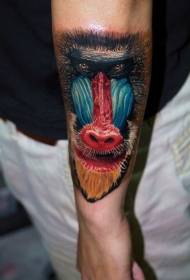 modeli tatuazh me fytyrën shumëngjyrëse baboon