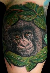 model i bukur tatuazhesh me kokë gorillë me ngjyra