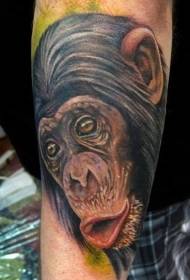 modello di tatuaggio di personalità testa braccio scimpanzé colorato