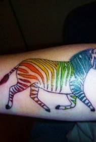 levende farvet zebra tatoveringsmønster på armen