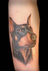 model de tatuaj cap realist brat culoare Doberman