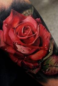 kar lenyűgöző nagyon reális természetes színű rózsa, vízcsepp tetoválás mintával