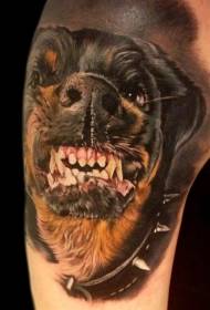 Brazo enojado color Rottweiler tatuaje patrón 13442 - llorando lémur y sandía color tatuaje patrón
