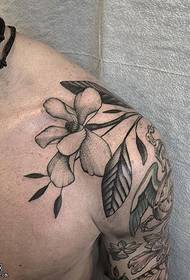 Modeli i tatuazheve të bimëve nga ferrat e shpatullave