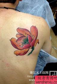 Modello di tatuaggio di loto colorato dall'aspetto piacevole spalle maschile