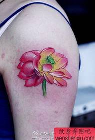 Braccio popolare bellissimo modello di tatuaggio di loto di colore