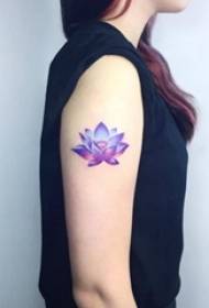'n Groep pragtige lotus-tatoeëermerke