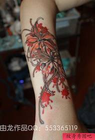 Het enige mooie gekleurde tattoo-patroon op de arm