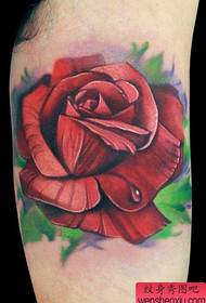 Modèle réaliste de tatouage de rose de couleur réaliste à l'intérieur du bras