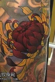 Patrún tattoo chrysanthemum dearg ar ghlúine